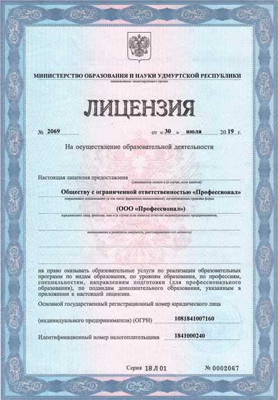 Лицензия автошколы Профессионал
